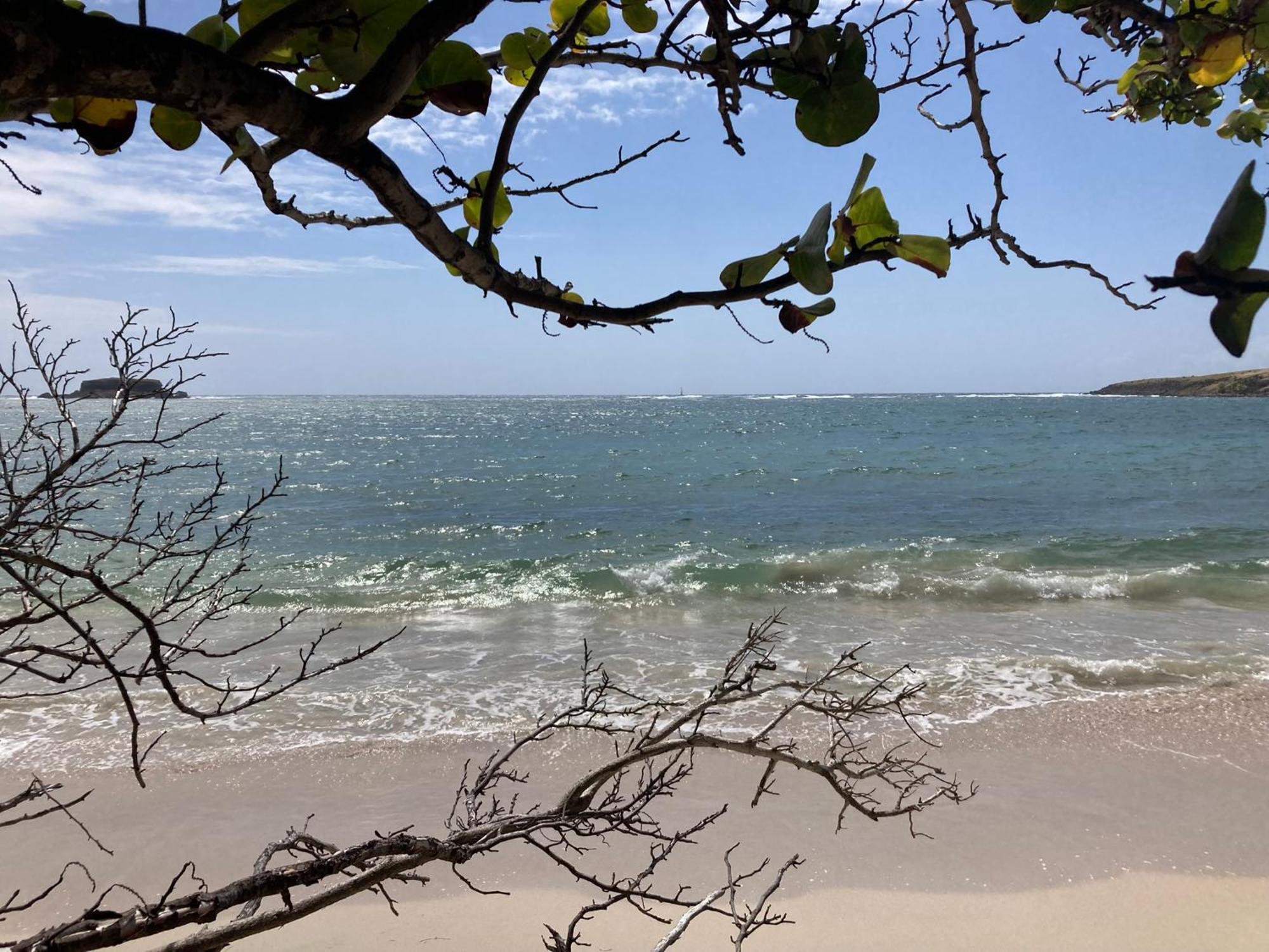 Belfond-Tropical Daire Sainte-Anne Dış mekan fotoğraf